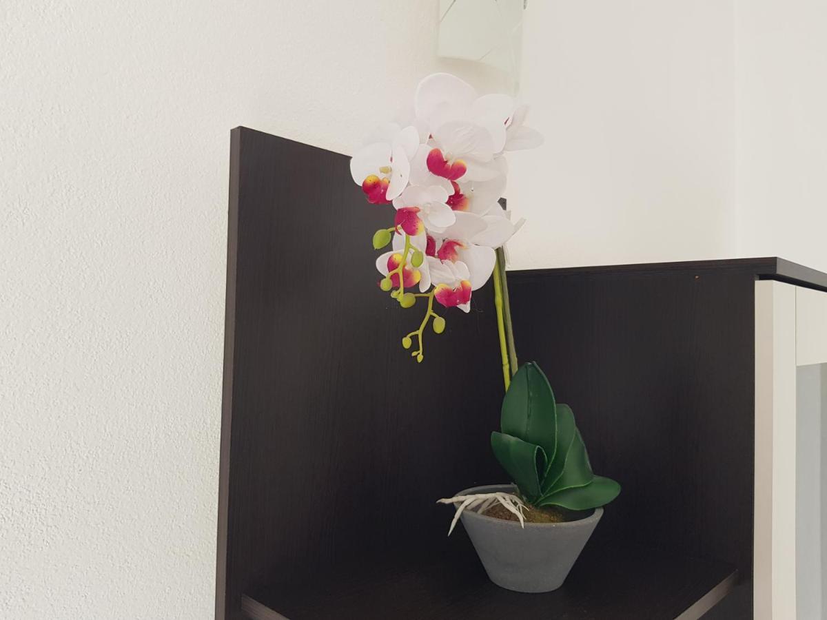 Apartman Mia With Pool1 Split Dış mekan fotoğraf